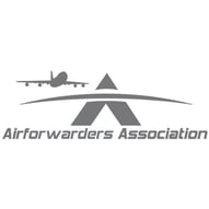 2019 AFA  -  Gray Logo 