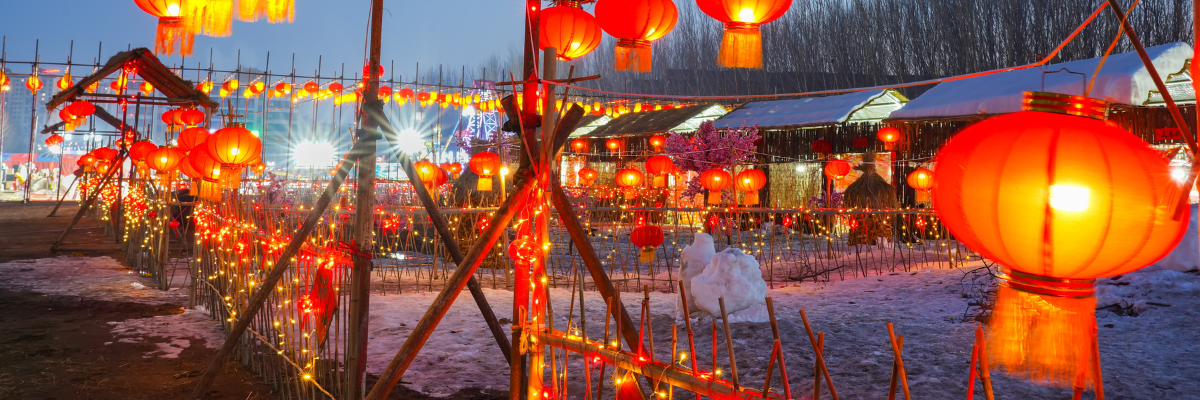 Lunar New year 2025